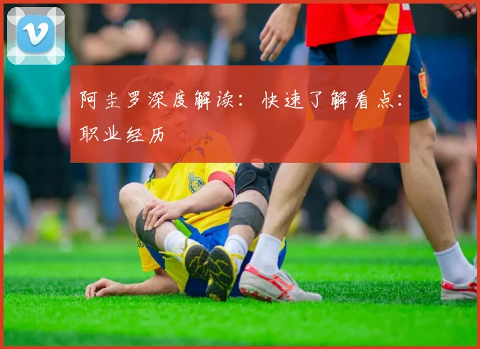 阿圭罗深度解读：快速了解看点：职业经历