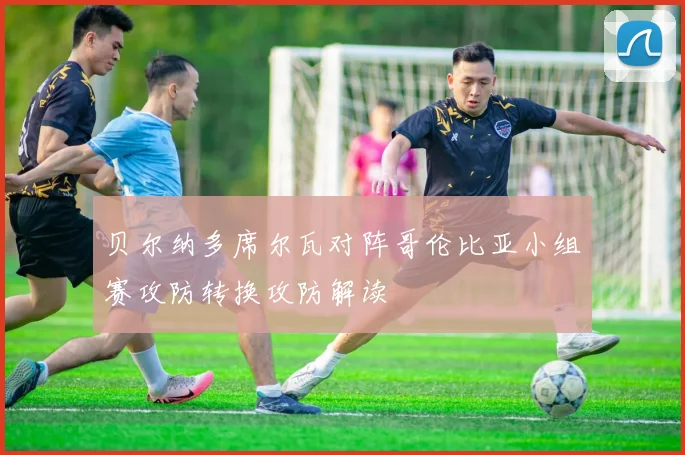 贝尔纳多席尔瓦对阵哥伦比亚小组赛攻防转换攻防解读